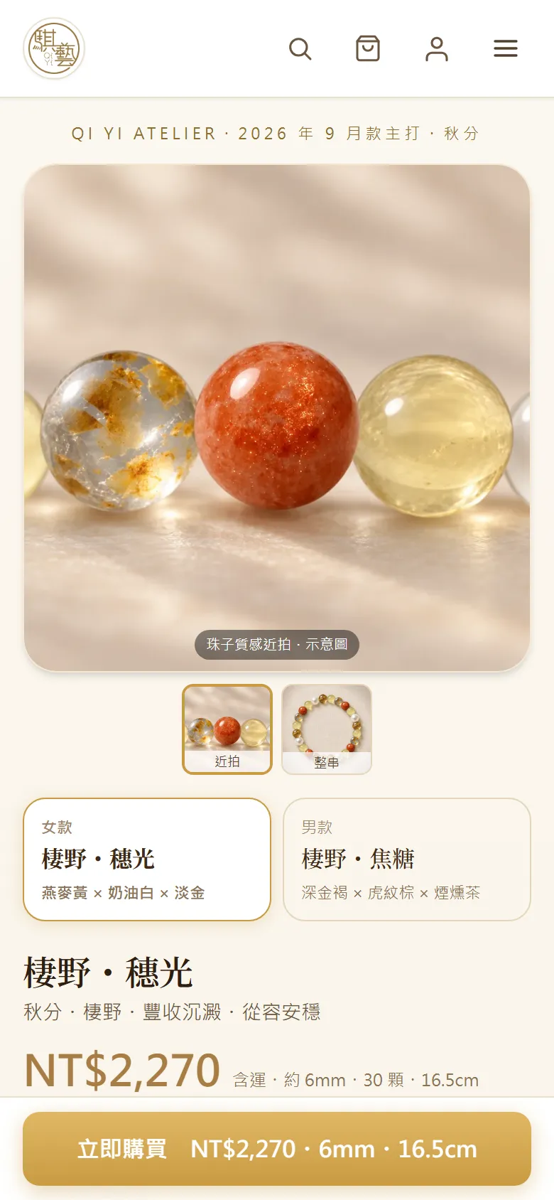 月度設計款一頁式購買頁